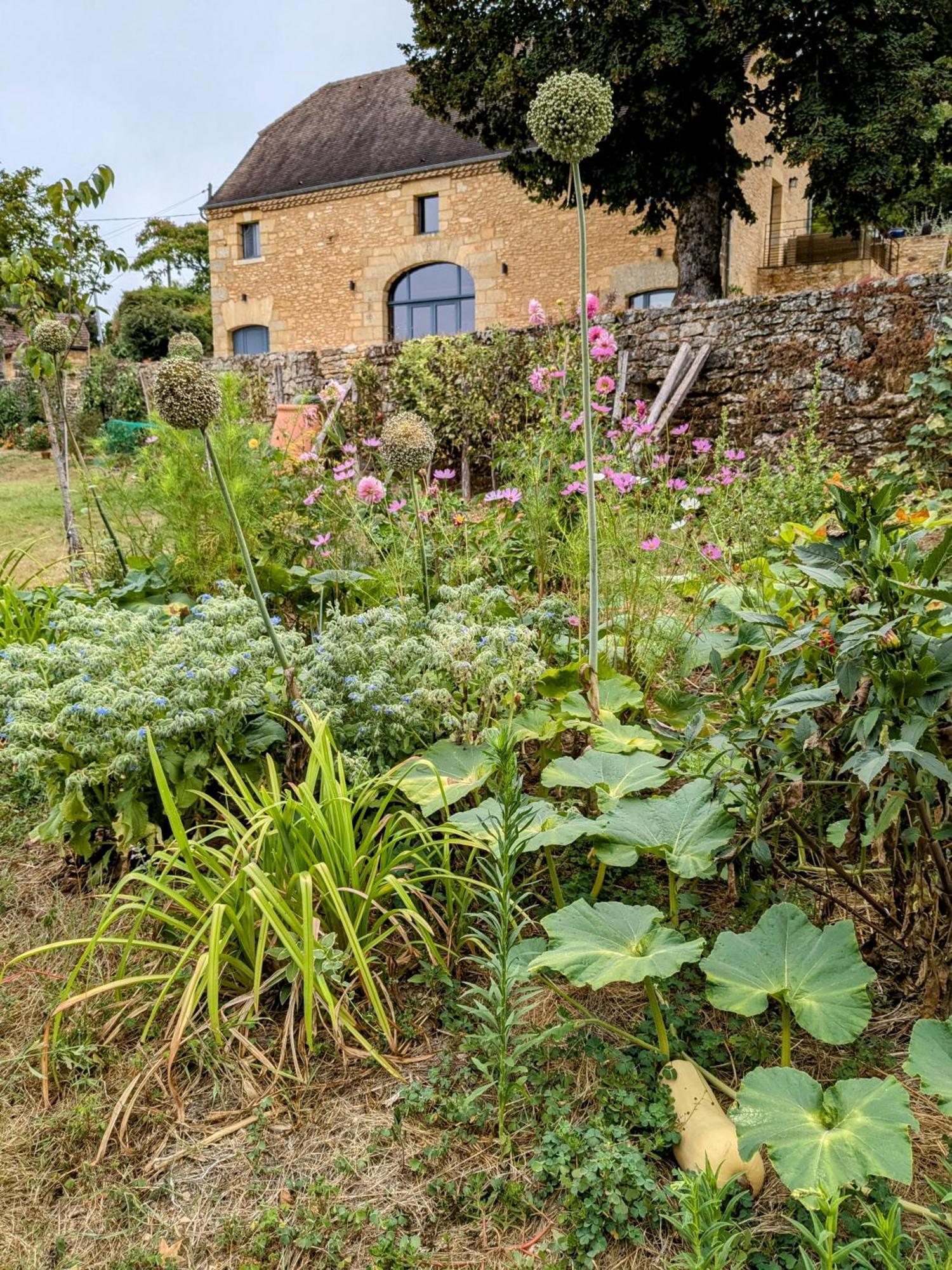 La Grange Symphorine, Chambre D'Hotes De Charme Situee Entre La Vallee De La Dordogne Et La Vallee De La Vezere Meyrals Ngoại thất bức ảnh